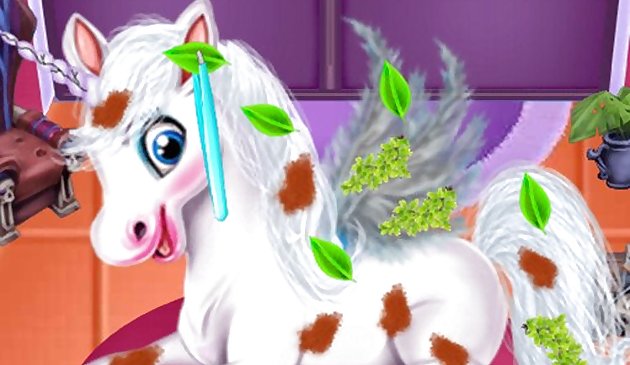 Волшебный салон питомцев