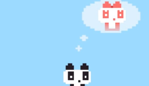 Панда любовь