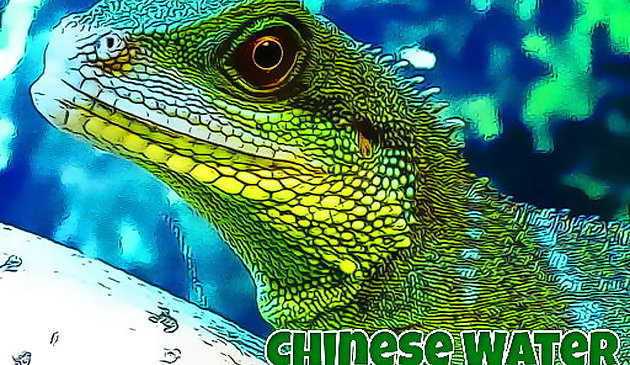 Rompecabezas del dragón de agua chino