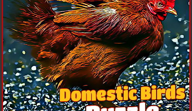 Домашние птицы пазл