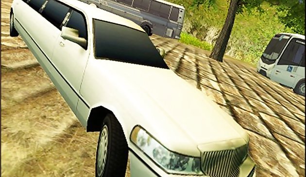 Остров лимузин такси