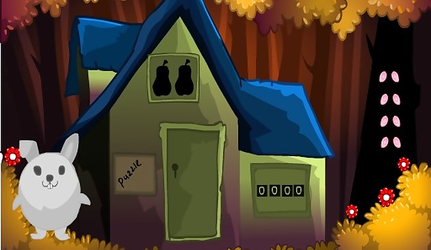 Спасение кенгуру