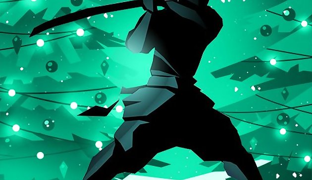 Теневой бой