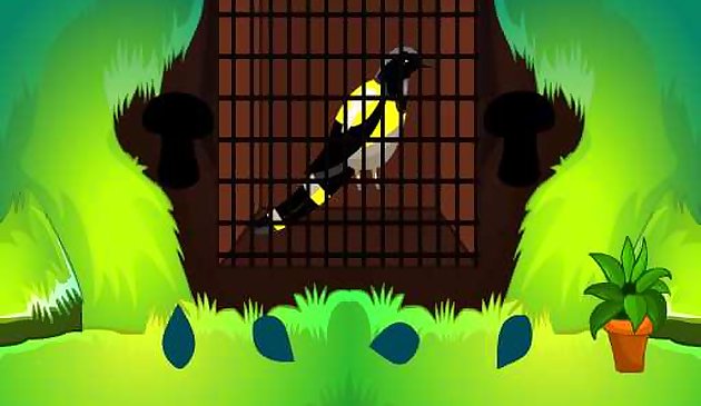 Спасение любовной птицы