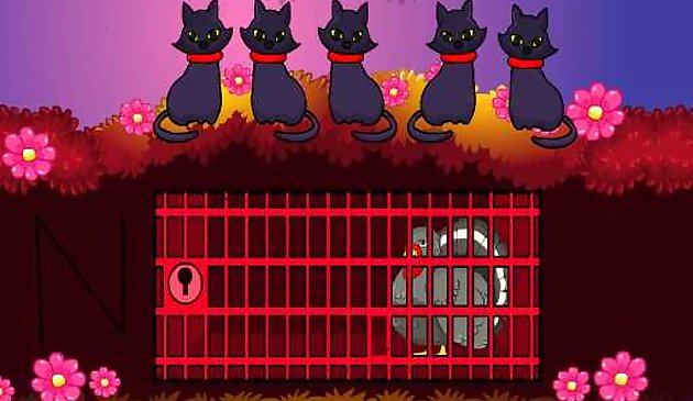 Спасение индейки