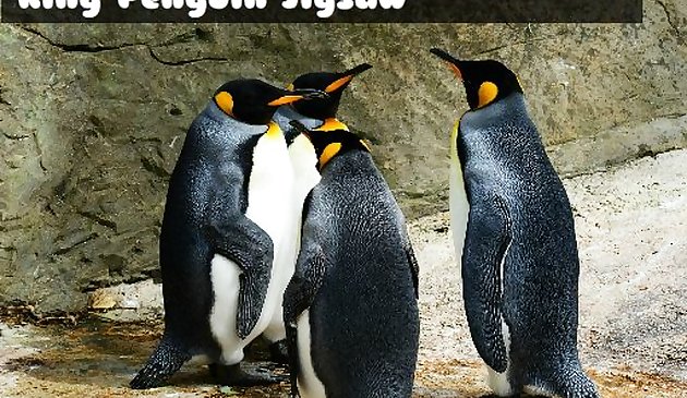 Ghép hình chim cánh cụt vua