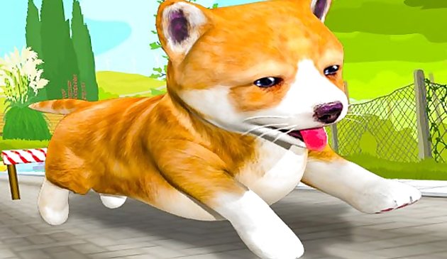 Собачий квест