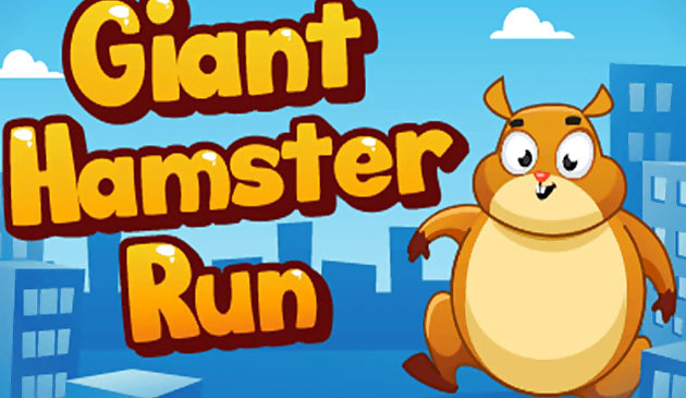 Hamster khổng lồ chạy