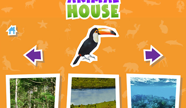 Дом животных