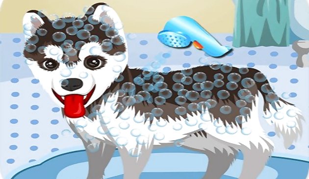 Моя милая собака купается