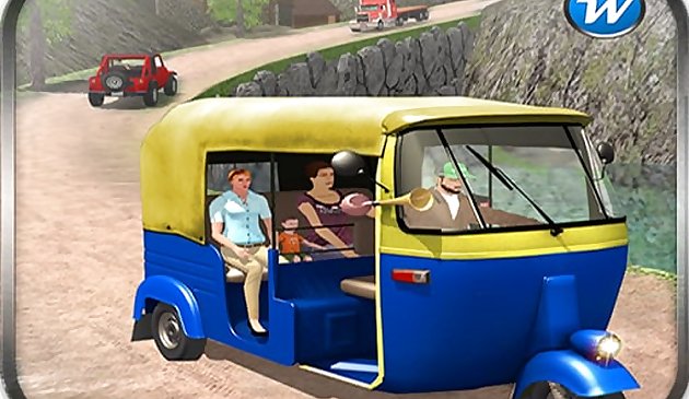 Тук тук водитель