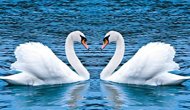 Лебеди Слайд