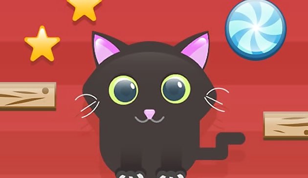 Разрежьте для кота