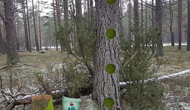 Возвращение в замороженный лес