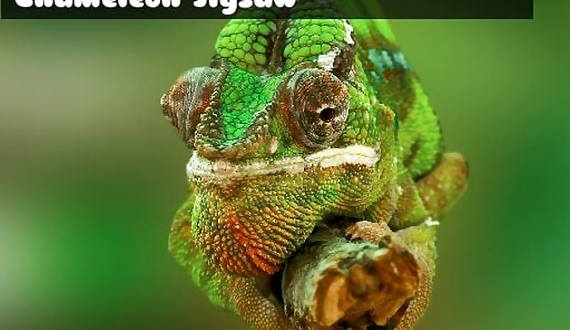 Хамелеон пазл