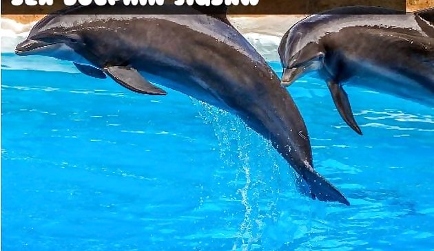 Морской дельфин пазл