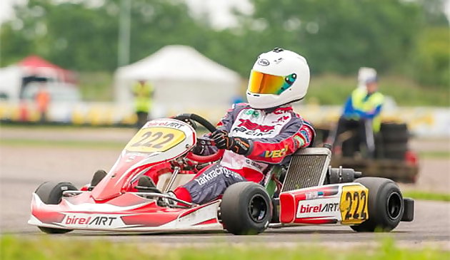 Картинг пазл