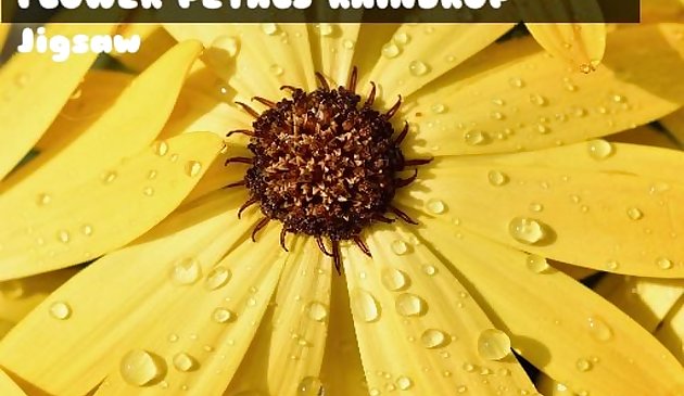 Капли на лепестках цветка пазл