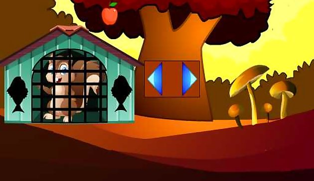 Спасение белки