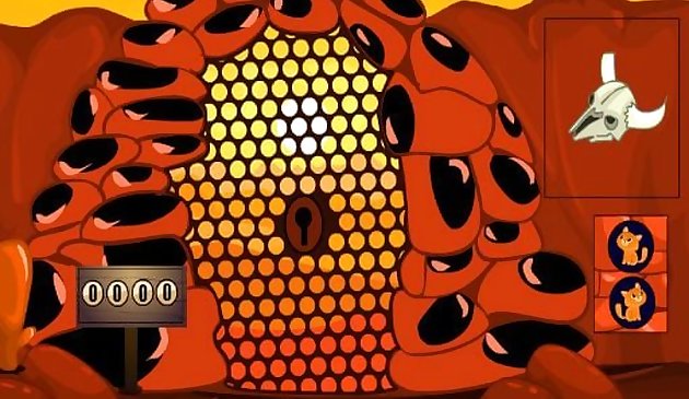 Побег попугая солнечной земли