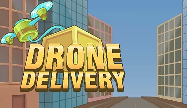 Lieferung von Drohnen