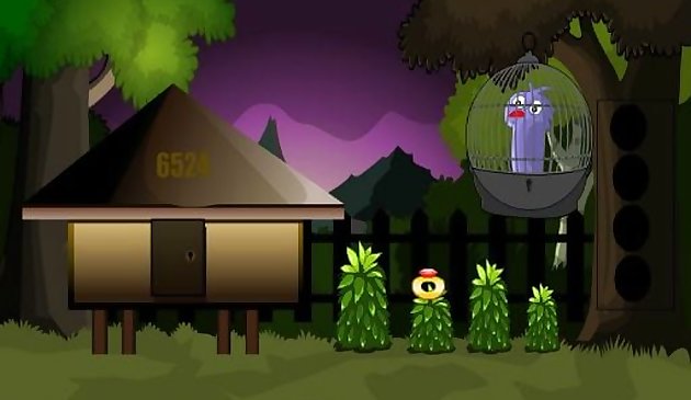 Побег новой птицы