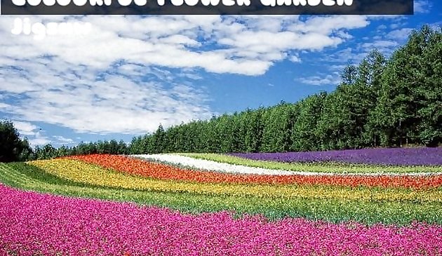Colorido rompecabezas de jardín de flores