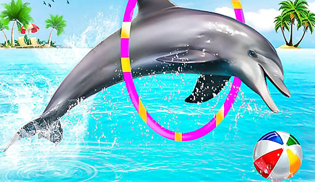 Show de acrobacias aquáticas para golfinhos