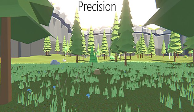 Точность онлайн