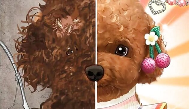 Макияж питомцев Мастер