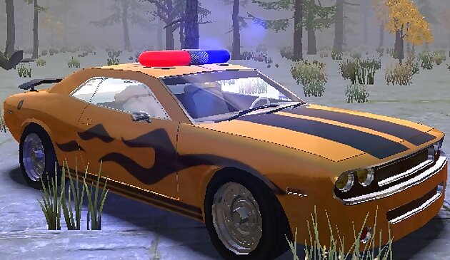 Polizei-Supercar-Parkwahn