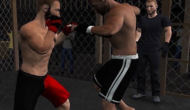 Бесспорная MMA