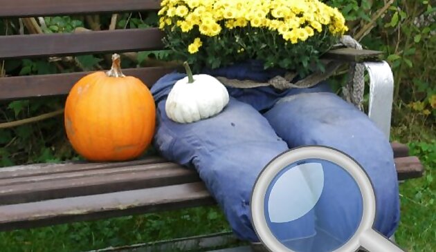 Осенний сад найти 100 бабочек