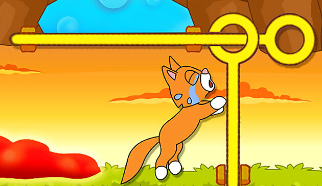 Спасите котёнка