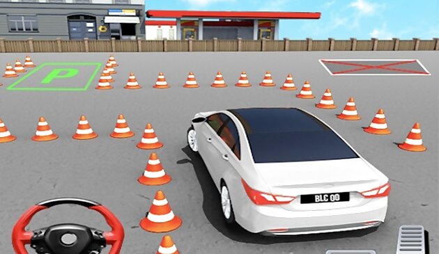 Рыбная парковка 3Д