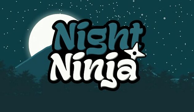 Ninja nocturno