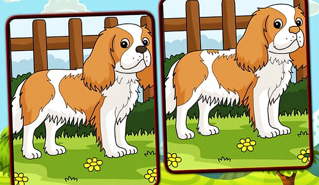 Собаки найдите отличия