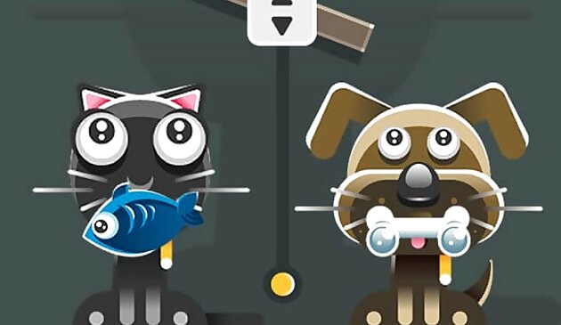 Мои питомцы