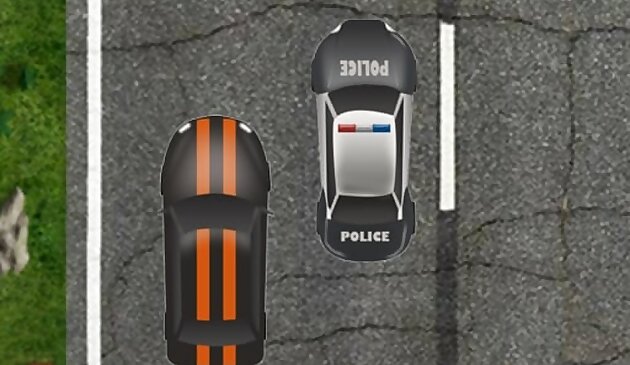 Шоссейная полицейская гонка