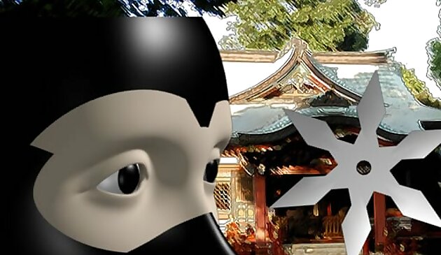 Ниндзя академия