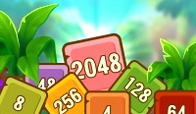 Cubes tropicaux 2048