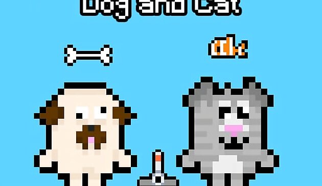 Cane e Gatto