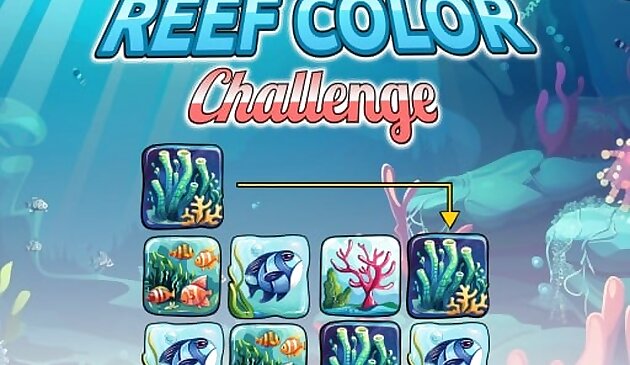 Риф цветной челлендж