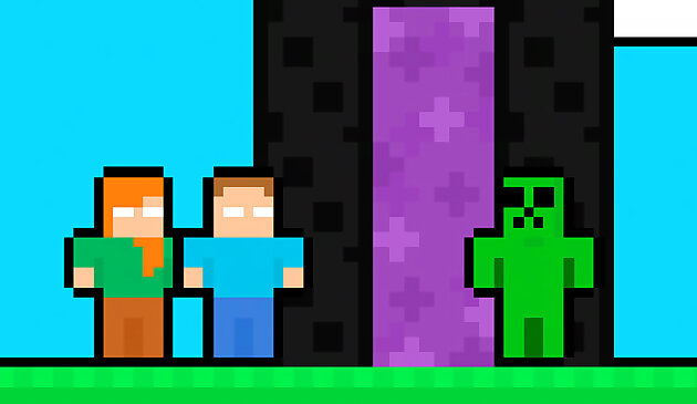 MCCraft 2 игрока