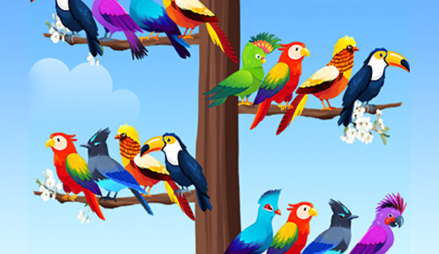 Птица сортировать головоломка