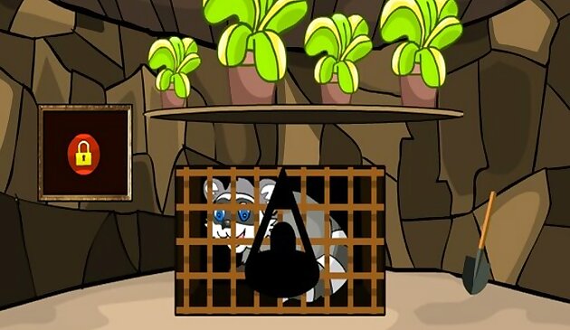 Спасите енота