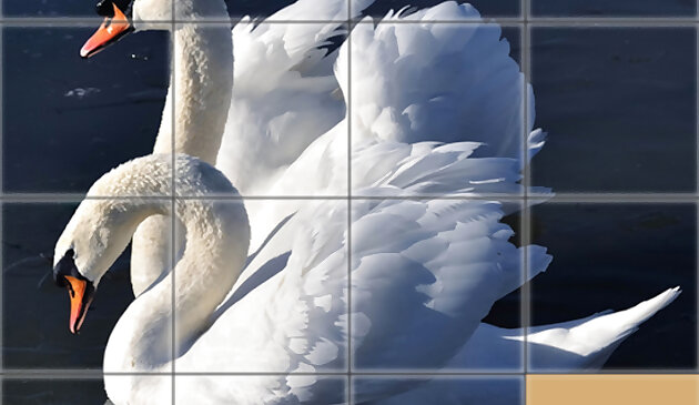 Животные слайд-пазл