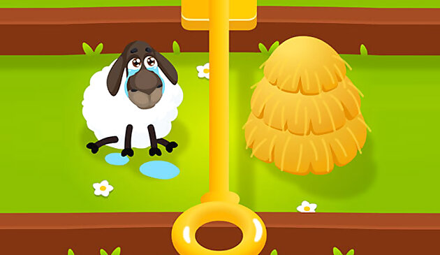 Сложная головоломка Тест на мозг