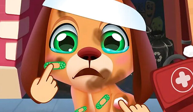 Уход за бродячими щенками