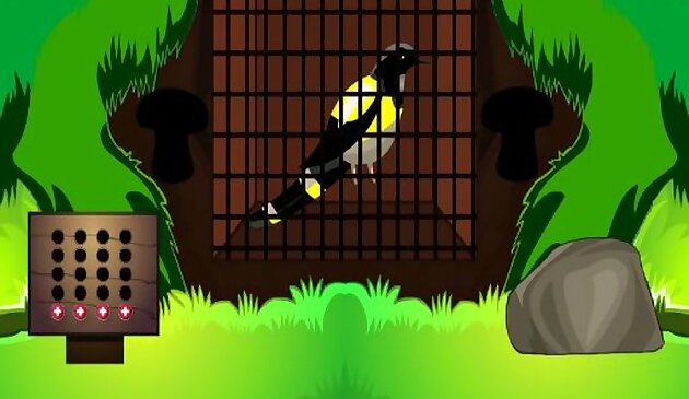 Побег черной птицы